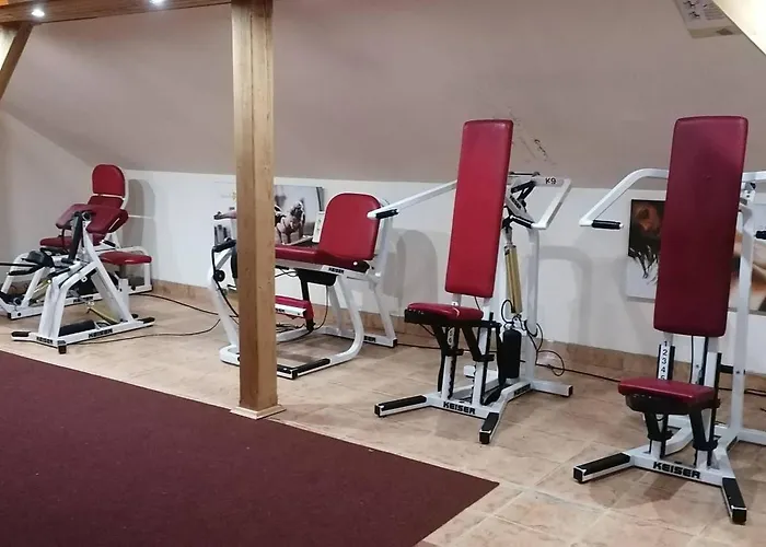 Alojamento de Acomodação e Pequeno-almoço Castle Free Wellness And Saunapark 3*